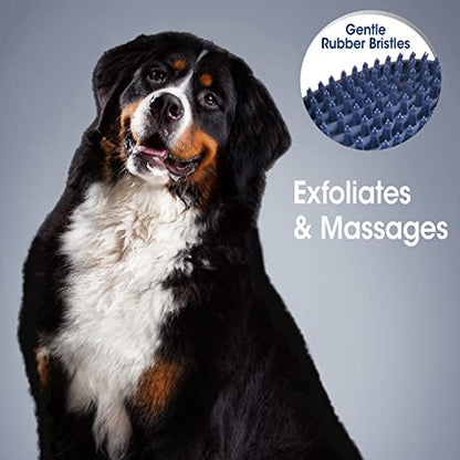 Four Paws Magic Coat Professional Series Grooming All-in-One Wet & Dry Detangling Brush for Dogs, 1 Count - size: One Size