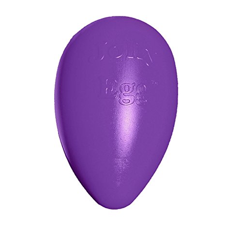 Jolly Pets Jolly Egg Plastic Dog Chew Toy 8 inch Purple - color: Purple, size: Medium (8 in)