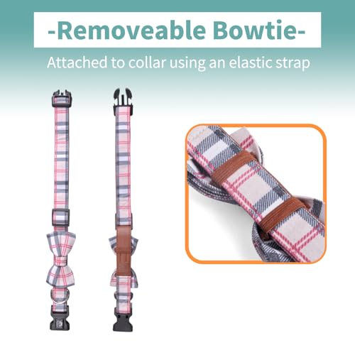 IVY&LANE Dog Collar with Bowtie and Leash Set | Plaid Adjustable Dog Collar | Detachable Bow Tie |5 FT Dog Leash | for Small Medium Large Dogs | Checkered Beige | Small - color: Checkered Beige, size: S