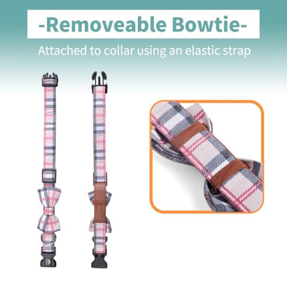 IVY&LANE Dog Collar with Bowtie and Leash Set | Plaid Adjustable Dog Collar | Detachable Bow Tie |5 FT Dog Leash | for Small Medium Large Dogs | Checkered Beige | Small - color: Checkered Beige, size: S