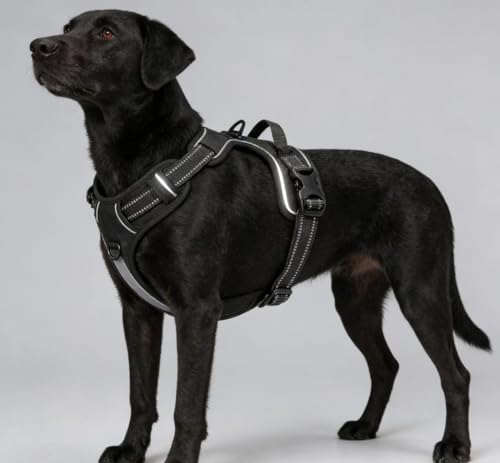 Black Adjustable Reflective No-Pull Dog Harness with 2 Leash Clips，Soft Padded Vest for Small Dog, Easy to Put on and Take Off,Black Small - color: Black, size: Small