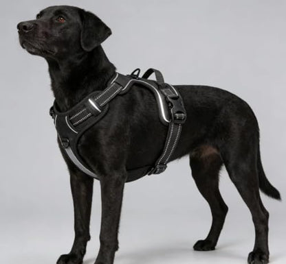 Black Adjustable Reflective No-Pull Dog Harness with 2 Leash Clips，Soft Padded Vest for Small Dog, Easy to Put on and Take Off,Black Small - color: Black, size: Small