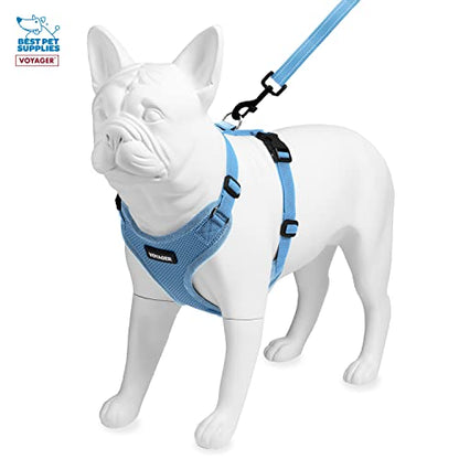 Voyager Step-in Lock Dog Harness w Reflective Dog Leash Combo Set with Neoprene Handle 5ft - Supports Small, Medium and Large Breed Puppies/Cats by Best Pet Supplies - Baby Blue, L (Pack of 2) - color: Harness Leash Set (Baby Blue), size: L (Chest: 20 - 2