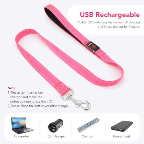 Colaseeme LED Light Up Dog Leash, USB Rechargeable (4FT,Pink) | Glow in dark, reflective, USB-C rechargeable, bright LED for night safety, fits small to large dogs - color: Pink, size: 4FT
