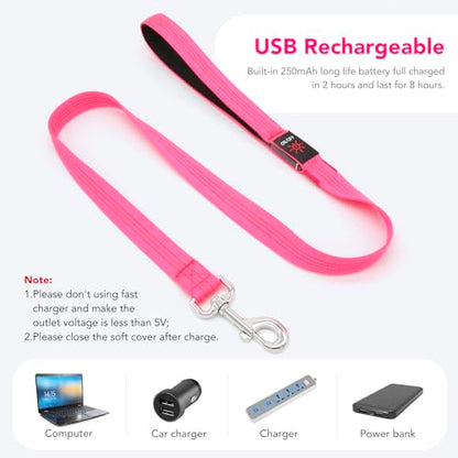 Colaseeme LED Light Up Dog Leash, USB Rechargeable (4FT,Pink) | Glow in dark, reflective, USB-C rechargeable, bright LED for night safety, fits small to large dogs - color: Pink, size: 4FT