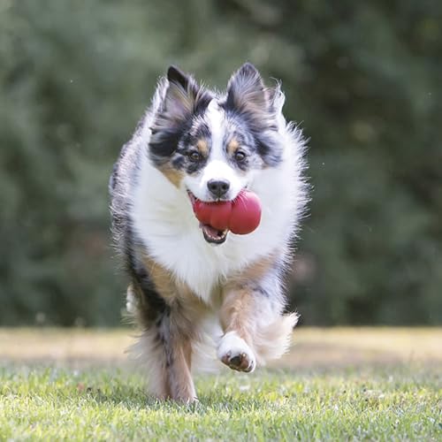 KONG Classic Stuffable Dog Toy - Fetch & Chew Toy for Dogs - Treat-Filling Capabilities & Erratic Bounce for Extended Play Time - Durable Natural Rubber Material - for XX-Large Dogs - size: XX-Large