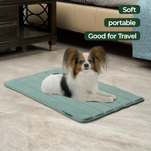 BALANCE Dog Crate Pad, Dog Foam Crate Mat Kennel Pad, Washable Water-Resistant Pet Bed Flat Dogs Cage Mat for Medium Dogs - color: Granite Green, size: 30.0"L x 19.0"W x 0.8"Th
