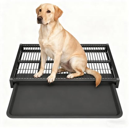 Large Indoor Dog Potty Toilet 30.7 x 19.7 Inch, Metal Elevated Pee Pad Holder for All Breeds, Keeps Paws & Floors Clean, Ideal for Bedroom/Dorm, Dog Potty Tray for Large Dogs