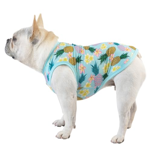 CuteBone Dog Shirts 2-Pack Soft Pet Clothes Breathable Summer Vest for Small Puppy and Stretchy Cat Apparel - color: Flowers&pineapple, size: Small