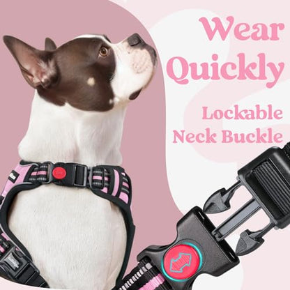 rabbitgoo Dog Harness Small Sized, No Pull Easy On & Off with 3 Buckles Pet Harness, Adjustable Soft Walking Vest with 2 Clips and Handle, Reflective for Small Dogs, Pink, S - color: Pink, size: Small