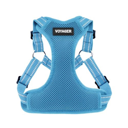 Best Pet Supplies Voyager Adjustable Step-In Flex Breathable Mesh Dog Harness for Small Medium Large Dogs (Baby Blue), XL - color: Harness (Baby Blue), size: XL