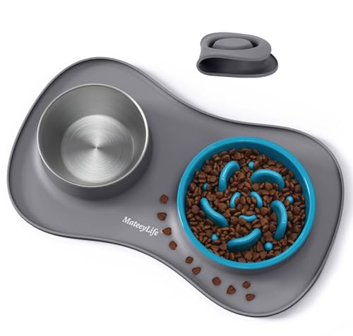MateeyLife Dog Food and Water Bowl Set 3 in 1, Slow Feeder Dog Bowls & Stainless Steel Water Bowl with Non-Spill Silicone Mat, Cat and Puppy Bowls Pet Dishes for Small Medium Large Breed Anti-Choking - color: Gray, size: Small