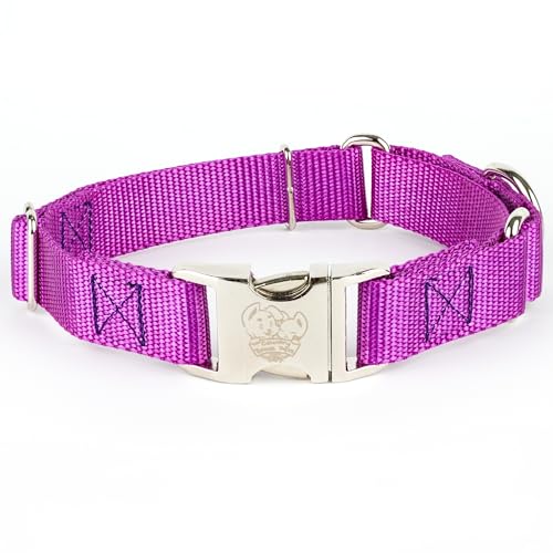 Country Brook Petz - Martingale Dog Collar - Heavy Duty Nylon Adjustable Martingale Dog Collar with Premium Buckle for Small Medium Large Breeds (5/8 Inch, Extra Small, Bright Purple) - color: Bright Purple, size: Extra Small (Pack of 1)
