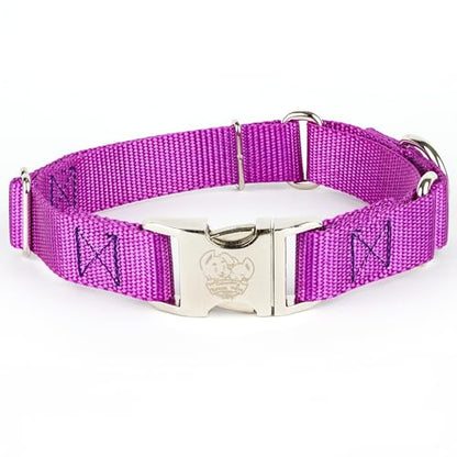 Country Brook Petz - Martingale Dog Collar - Heavy Duty Nylon Adjustable Martingale Dog Collar with Premium Buckle for Small Medium Large Breeds (5/8 Inch, Extra Small, Bright Purple) - color: Bright Purple, size: Extra Small (Pack of 1)