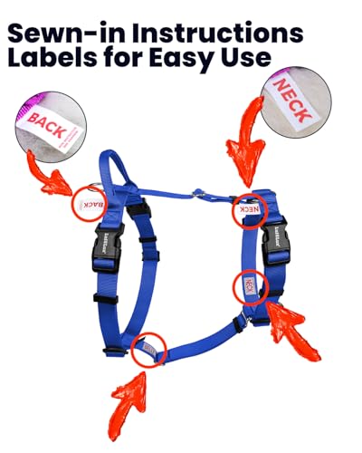 Non Restrictive No Pull Dog Harness, Small, Blue | Neck Buckle Design, Lightweight Easy Walk Freedom, Keep Balance, Sewn-in Instructions Labels - color: Blue, size: S