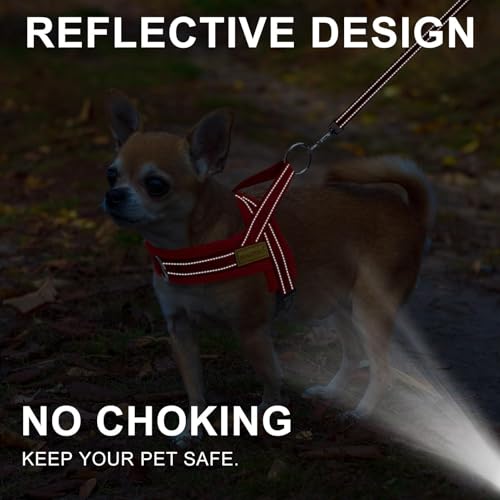 BEAUTYZOO No Pull Dog Harness Medium Sized Dog, Breathable Mesh Padded Dog Harness and Leash Set, Adjustable Reflective Escape Proof Dog Vest Harnessss Quick Fit for Training Walking, Red M - color: Red, size: M: Chest 21"-26.7"