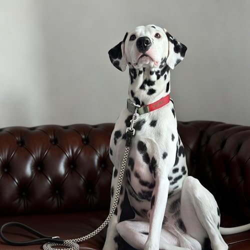 Mile High Life Leather Handle Dog Leash 6 FT/5 FT/4 FT, Soft Padded Handle Rope Leashes for Medium & Large Dogs Walking and Training (Black Khaki, 48 Inch) - color: Leather Handle-Black, size: 48 Inch-1/2"
