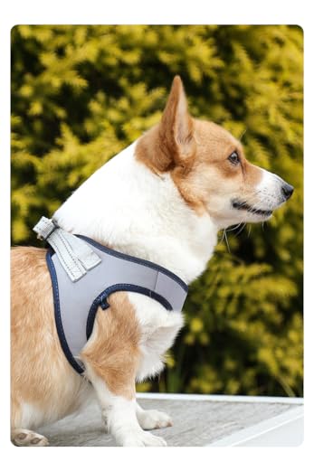 Escape-Proof Dog Harness Vest Breathable Chest Back Leash Set for Small Dogs Cats Adjustable Reflective Pet Safety Walking Vest - color: Sliver, size: S