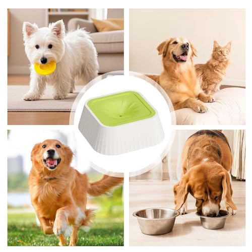 Spill Proof Dog Water Bowl 37oz, Large Capacity No Drip Pet Dispenser with Non-Slip Base, Slow Water Bowl for Dogs Puppies Indoor Outdoor Use, 22x22x8cm - color: Green