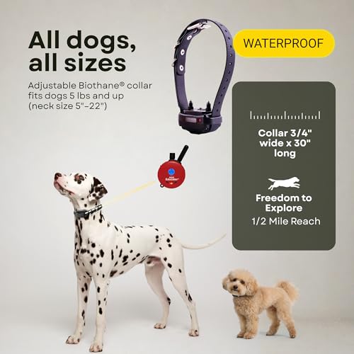 E-Collar ET-300 / ET-302 Dog Training Collar System with Remote - 1/2 Mile Range - Waterproof, Vibration, Sensation - Includes eOutletDeals Pet Towel (1 Dog System - ET-300 RED) - size: 1 Dog System - ET-300 RED