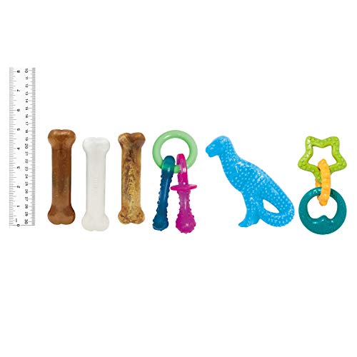 Nylabone New Puppy Starter Kit, 5 Dog Chew Toys and 1 Natural Reward for Puppies, Multi Color, Bacon & Chicken Flavor,Small Dogs - Up to 25 lbs., 6 Pack - color: Bundle
