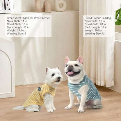 MIHACHI Dog Shirts Cotton Striped T-Shirt, Summer Pet Clothes for Small Dogs, 2-Pack Soft Puppy Apparel Cat Tee, Sleeveless Lightweight, Quick Dry, Breathable,Stretchy, Blue Yellow M - color: Green & Yellow, size: Medium