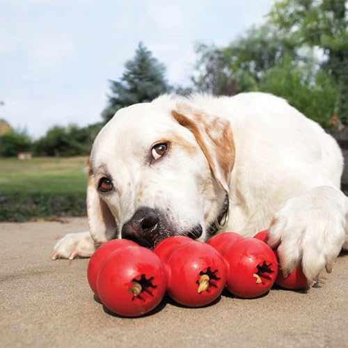 KONG Goodie Ribbon - Stuffable Natural Rubber Dog Toy - with Four Fillable Goodie Grippers for Enrichment Play - Bone-Shaped Chew Toy - for Large Dogs - size: Large (Pack of 1)