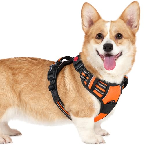 rabbitgoo Dog Harness Small Sized, No Pull Easy On & Off with 3 Buckles Pet Harness, Adjustable Soft Walking Vest with 2 Clips and Handle, Reflective for Small Dogs, Orange, S - color: Orange, size: Small