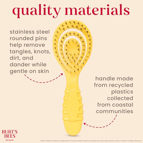Burt's Bees for Pets Detangling Pin Brush for Puppies and Small Dogs | Handle Made from Recycled Plastics Collected from Coastal Communities | Dog Brush Removes Tangles and Loosens Light Matting