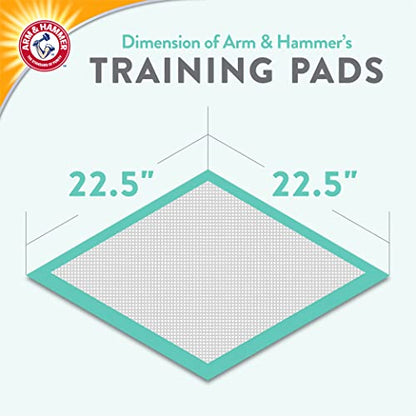 Arm & Hammer Green Tea Pet Training Pads, 200 Count, Super Absorbent with Green Tea and Baking Soda, 2X Odor Control, 5-Layer Leak-Proof Construction, 22.5 x 22.5 Inch - size: 22.5" x 22.5" 200 Count