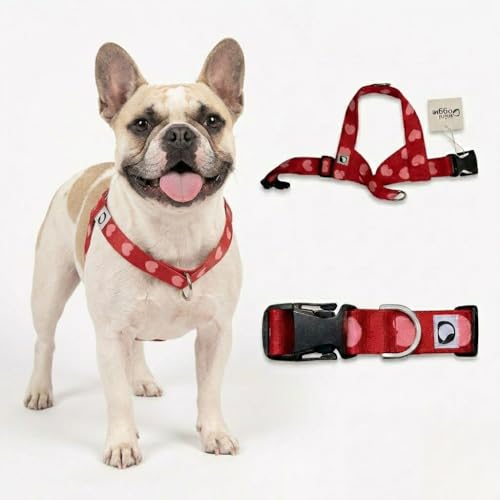 Heart Small Dog Harness – Soft Webbing, Front & Back Clip, No-Pull Design, Lightweight (Red, Medium) - color: Red, size: Medium