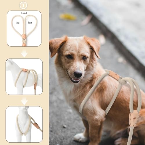 Mile High Life Harness Lead No Pull, All in one Dog Lead 2-in-1, Rope Leash and Harness Two in One, Slip Leash for Puppy Small Dogs Training, 4FT White - color: 4 feet-White
