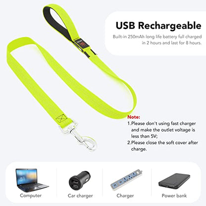 Light Up Dog Leash, USB Rechargeable, LED (4FT,Green & Reflective Wires) | Glow in dark, reflective, USB-C rechargeable, bright LED for night safety, fits small to large dogs - color: Green & Reflective Wires, size: 4FT