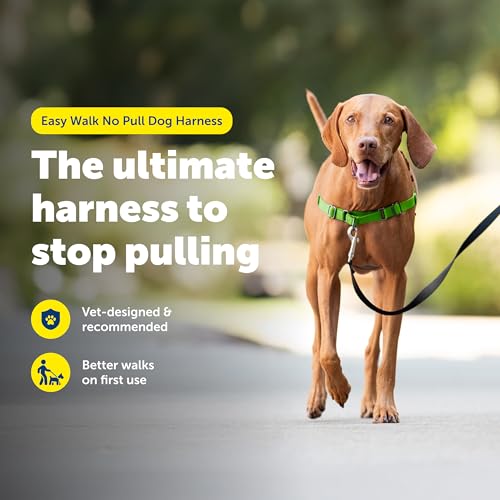 PetSafe Easy Walk No-Pull Dog Harness - Ultimate Harness to Help Stop Pulling - Pull-Free Walks - Take Control & Teach Better Leash Manners - Patented Martingale Loop Design - Apple Green, Medium - color: Apple Green/Gray, size: Medium