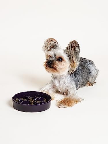 LE TAUCI PET Ceramic Slow Feeder Dog Bowls Small Breed, 0.5 Cups Dog Food Dish for Fast Eaters, Puzzle Bowl for Small Dogs and Cats, 5.5 Inch-Purple - color: Purple