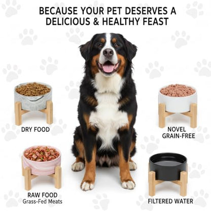 Elevated/Raised Ceramic Dog Bowl with Bamboo Stand,Marble Pattern 7 Inch 7.6 Cups Non Slip Heavy Weighted Single Pet Dish,Reduces Neck Strain Marble Gray - color: Marble Gray, size: 7.6Cups - Large