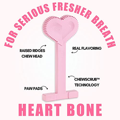 Bullibone Nylon Dog Chew Toy for Aggressive Chewers - Dental Hygiene Bone with Peppermint Flavor, Durable Tough Chew Toys for Small Dogs, Indestructible Dog Bone - Single - size: Small - Single