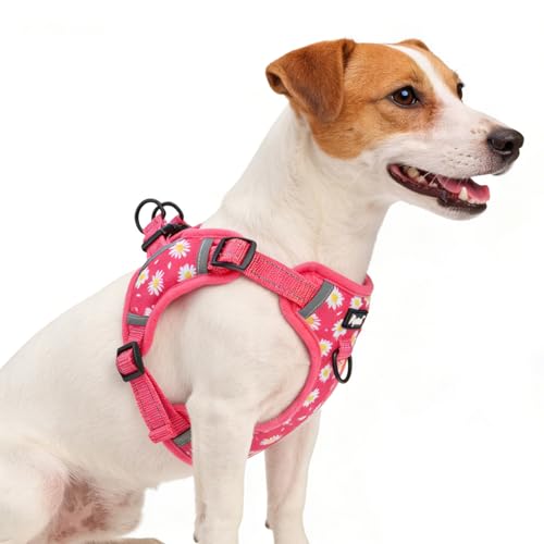 PUPTECK Dog Harness Small Sized Dog, Step in Adjustable Reflective Dog Vest Harness Escape Proof, No Pull Soft Padded Harness Easy Control, Fuschia, S - color: Fuschia(Daisy), size: S (CHEST: 13"-18")