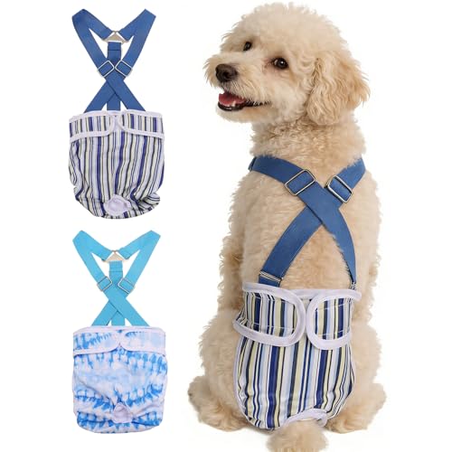 Washable Female Dog Diapers with Suspender, Reusable Dog Diapers Absorbent Leakproof(Striped Blue/Tie-Dye Light Blue L, 2Pcs), Intended for Female in Heat Cycle - color: Striped Blue/Tie-Dye Light Blue, size: L