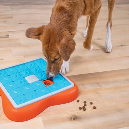 Outward Hound by Nina Ottosson Challenge Slider – Interactive Dog Treat Puzzle Enrichment Toy, Level 3 Advanced - color: Challenge Slider (Orange, Blue)