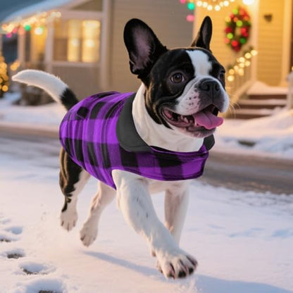 ASENKU Dog Jacket Plaid Reversible Reversible Dog Vest Waterproof Cold Winter Clothes Pet Apparel for Small Medium Large Dogs (XS, Purple) - color: Purple, size: X-Small