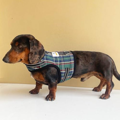 Dachshund Harness no Armpit rub, Christmas Plaid Escape Proof Doxie Harness, Adjustable Step in Dog Harness for mini & Standard Dachshund (Green, XS: Chest 10"-12"/25-31cm) - color: Green, size: XS:Chest 10"-12"/25-31cm