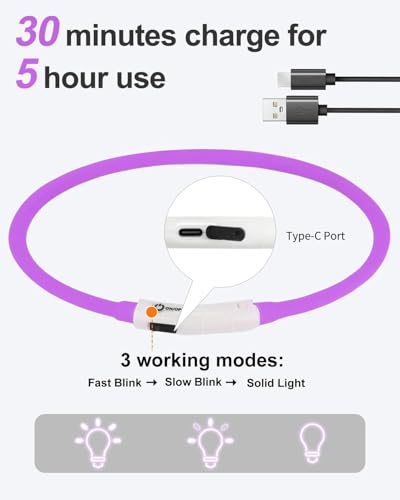 Joytale Light Up Dog Collar, Rechargeable Rainproof LED Collar for Night Walking Safety, Soft Silicone Glow in The Dark, Suitable for Small Medium Large Dogs, Purple - color: Purple