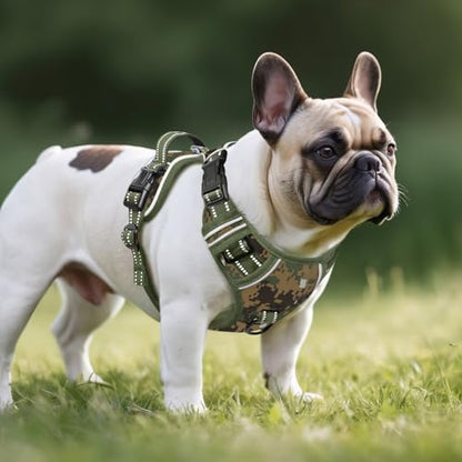 Timos Dog Harness Small Sized,No Pull Dog Harness Adjustable Metal Rings 3 Buckles,Reflective No Choke with Easy Control Handle for Small Dogs,Military Green S - color: Military Green, size: Small (Pack of 1)