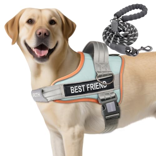 AUROTH Dog Harness and Leash Set, Soft Padded Service Dog Vest with 5.25FT Dog Leash, No Choke, Easy On Pet Vest, Adjustable Reflective No Pull Pet Vest Medium Sized Dog, Easy Walking and Training - color: Macaron Blue, size: Medium