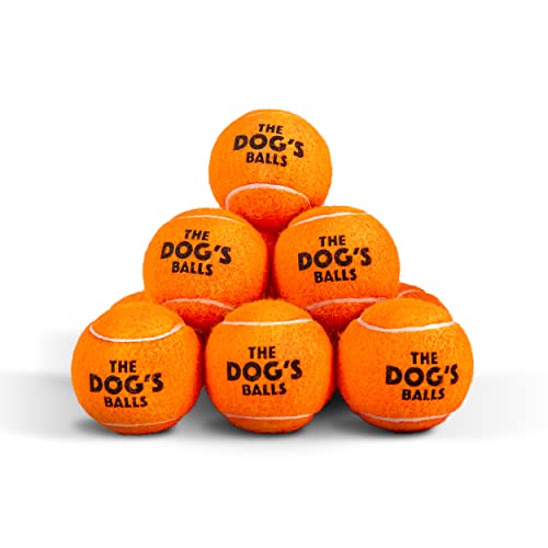 The Dog's Balls Dog Tennis Balls Tough 2.5" 12-Pack Orange Floats in Water | Our fetch balls combine non-abrasive felt exterior and a thicker rubber core Durable Dog Toy for Outdoor Play & Training - color: Orange, size: 12 Medium Tennis Balls