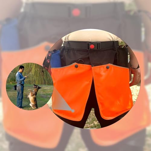 Handler Training Apron Dog Handler Training Apron Waterproof Nylon Pants Multi Pockets Waist Strap Dog Training Shorts Anti Tear, M - size: Medium