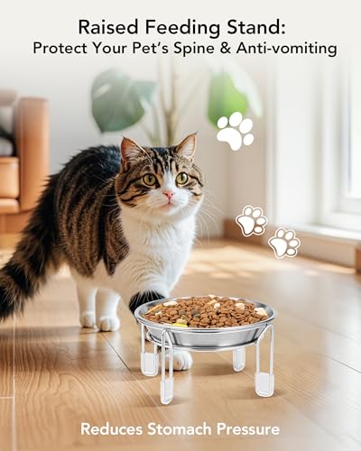Elevated cat Bowl, 6.3" Wide Raised Stainless Steel Cat Food and Water Dishes, Small Dog Bowl, Whisker Friendly, Anti-Vomiting, Neck Stress-Free, Non-Slip Stainless Steel Stand with 4 Legs- 4Pack - color: 4PC