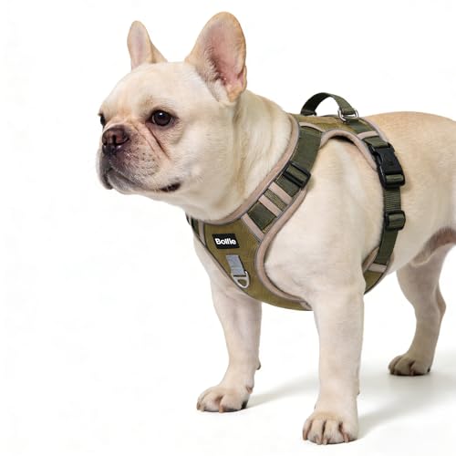 Small Dog Harness, Heavy Duty Tactical No-Pull Reflective Harness & Collar Set — Secure, No Choke, Easy On and Off Pet Vest, Adjustable Dog Vest with Breathable Padded for Walking Hiking Training - size: Small