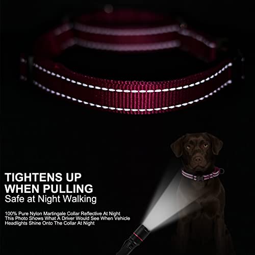 Personalized Martingale Dog Collar-Reflective Martingale Collars with Buckle, Custom Training Martingale Dog Collars Engraved with Name and Phone Number for Small Medium Large Dogs